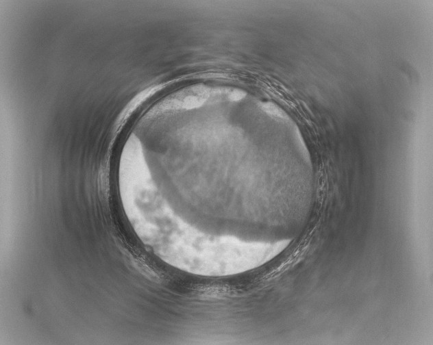 X0000115560200200912041100