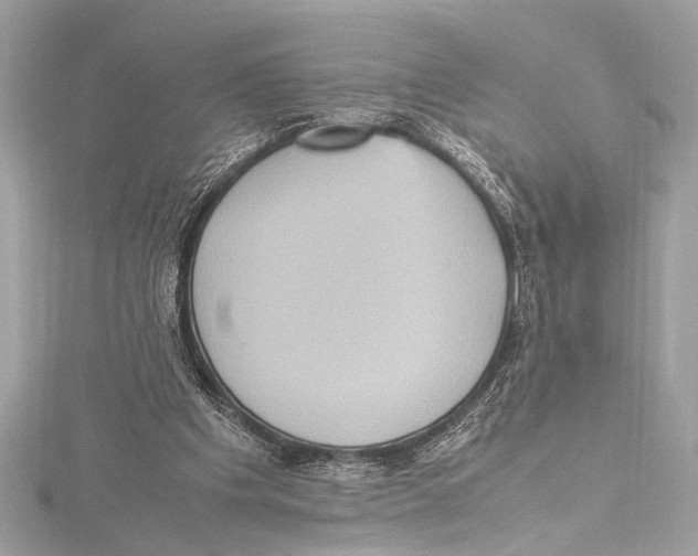 X0000115560201200912041100