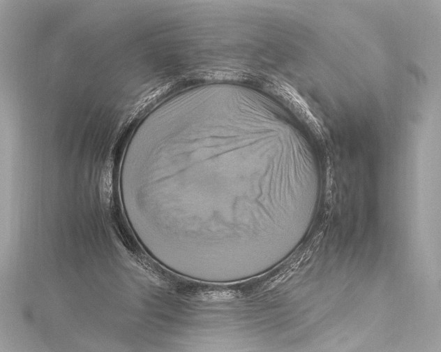 X0000115560202200912041100