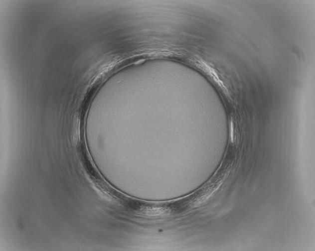 X0000115560205200912041100