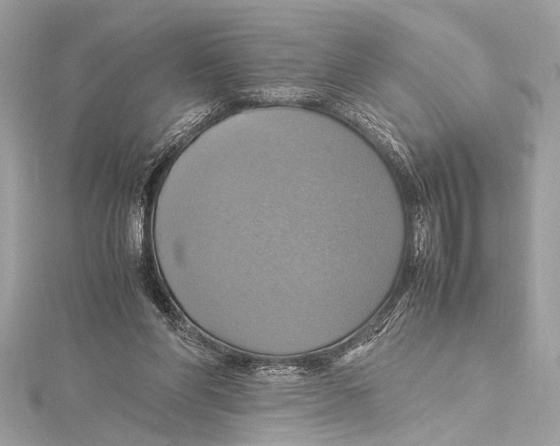 X0000115560206200912041100