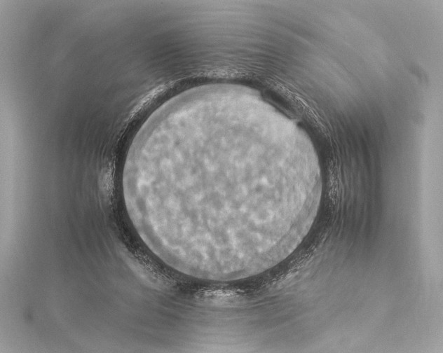 X0000115560208200912041100