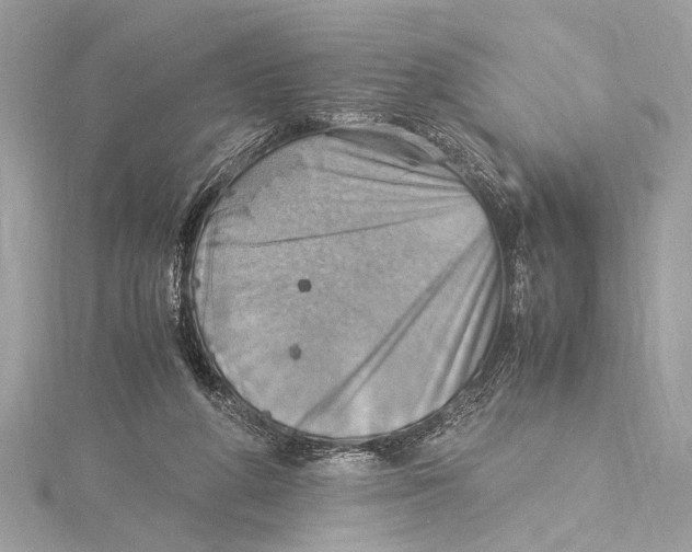 X0000115560210200912041100