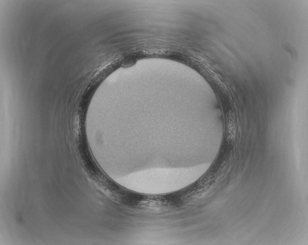 X0000115560211200912041100