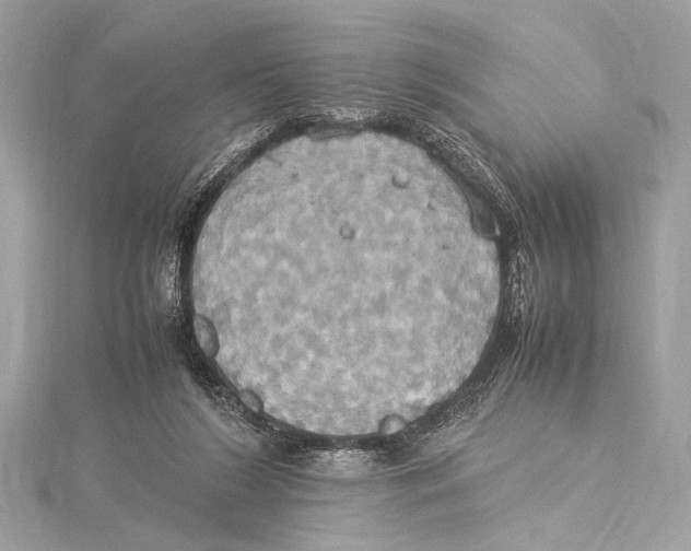 X0000115560212200912041100