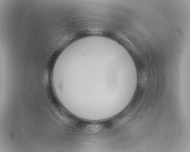 X0000115560213200912041100