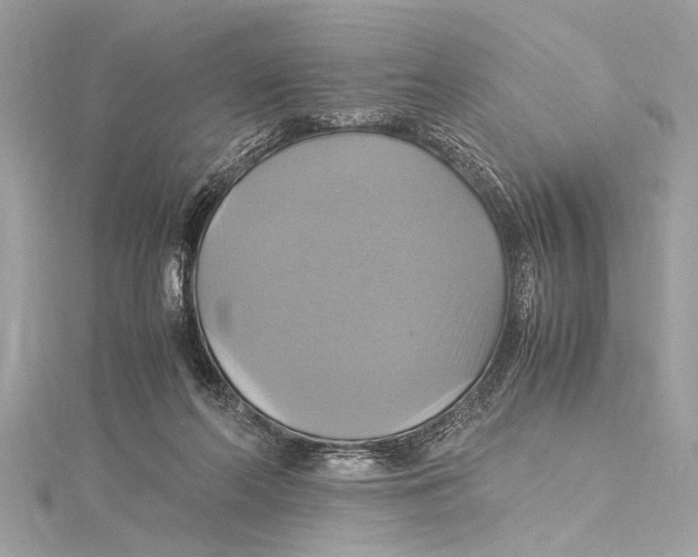 X0000115560214200912041100