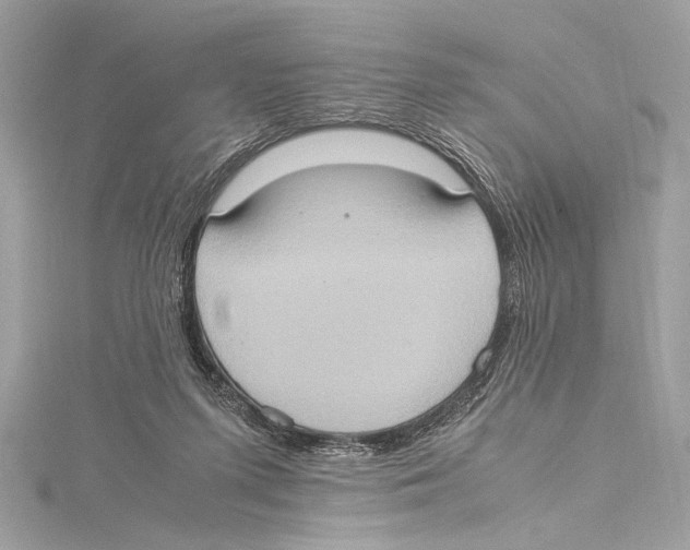 X0000115560215200912041100