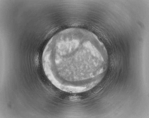 X0000115560216200912041100