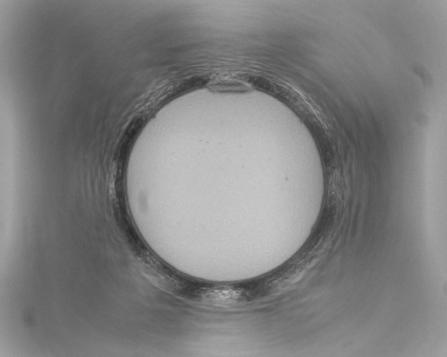 X0000115560217200912041100