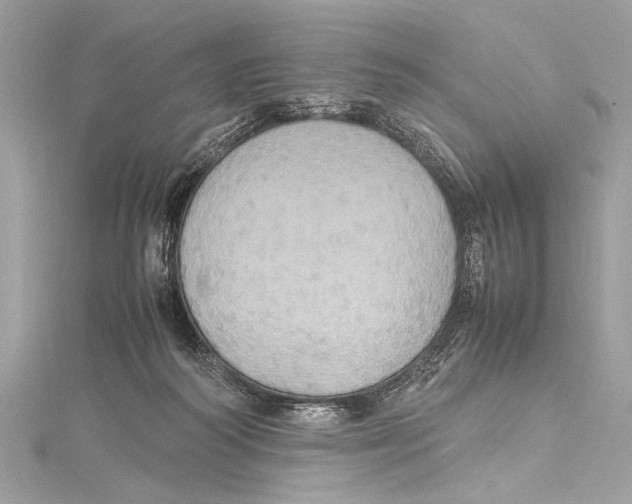 X0000115560218200912041100