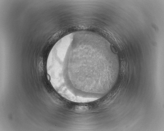 X0000115560220200912041100