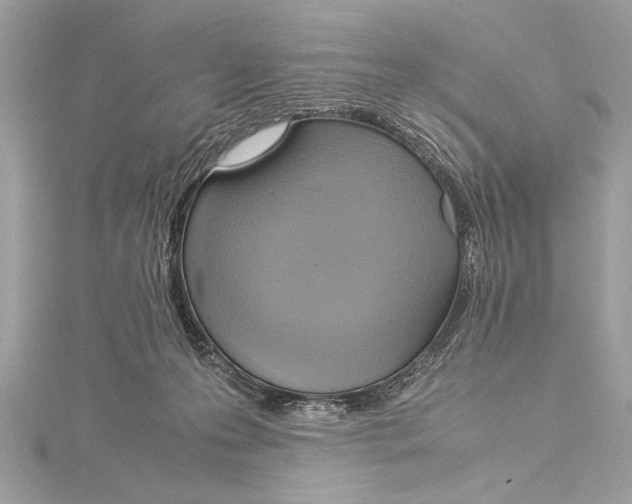 X0000115560223200912041100