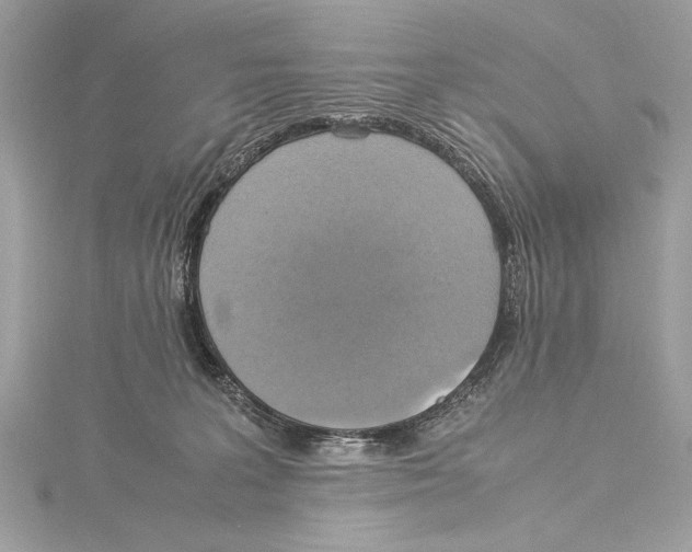 X0000115560227200912041100