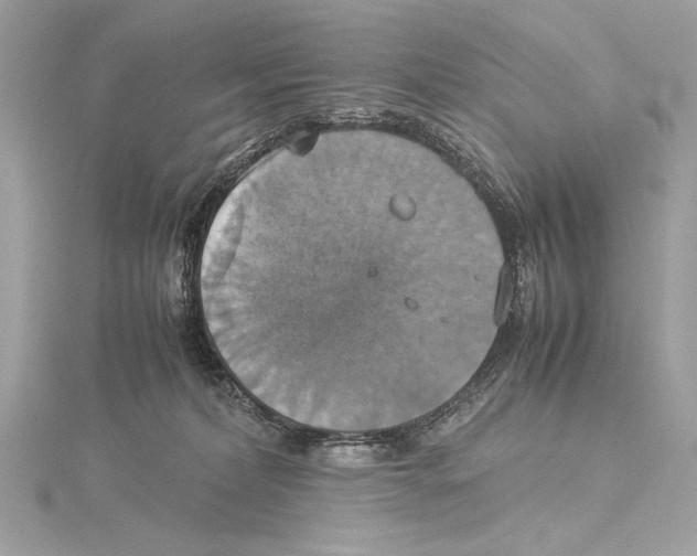 X0000115560228200912041100