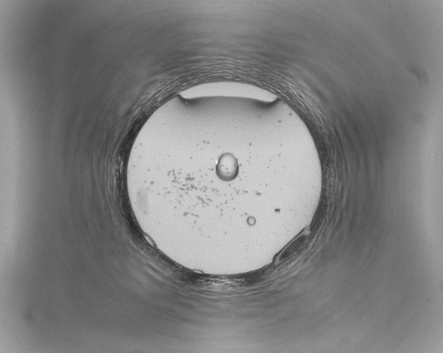 X0000115560229200912041100