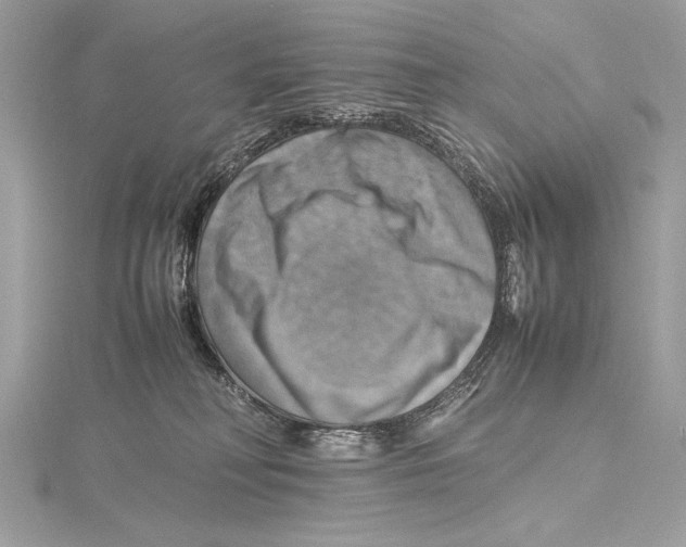 X0000115560230200912041100