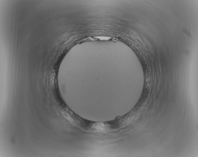 X0000115560231200912041100