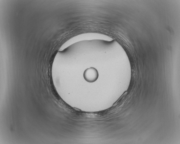 X0000115560233200912041100