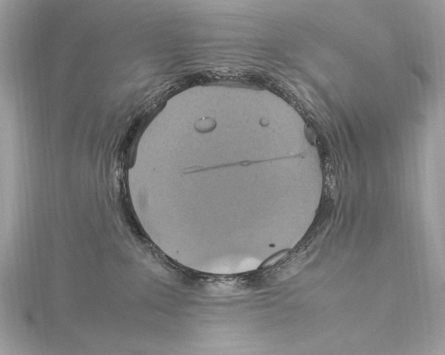 X0000115560235200912041059