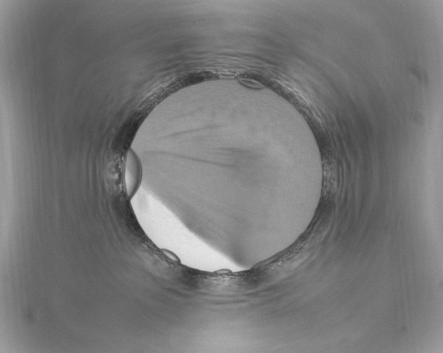 X0000115560237200912041059