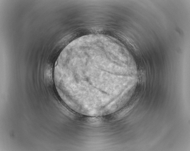 X0000115560238200912041059