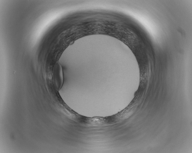 X0000115560239200912041059