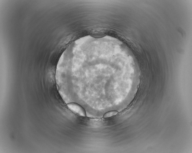 X0000115560240200912041059