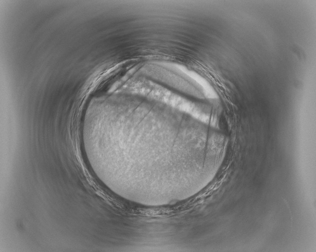 X0000115560241200912041059