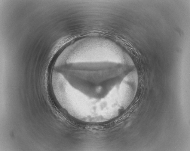 X0000115560242200912041059