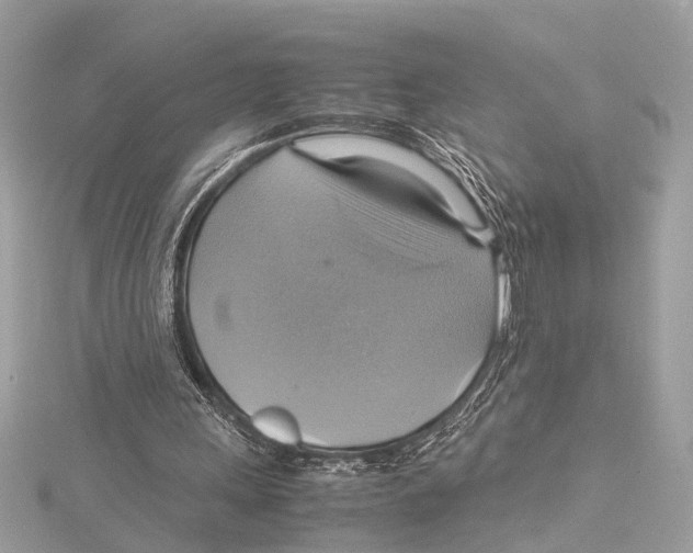 X0000115560243200912041059