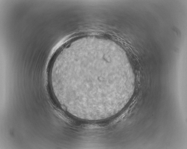 X0000115560246200912041059