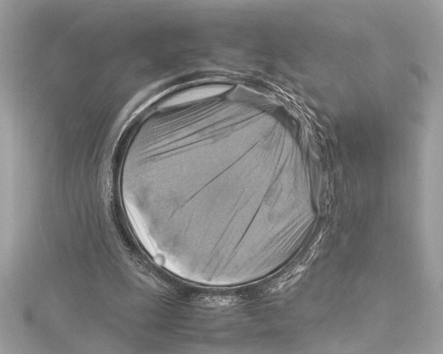 X0000115560247200912041059