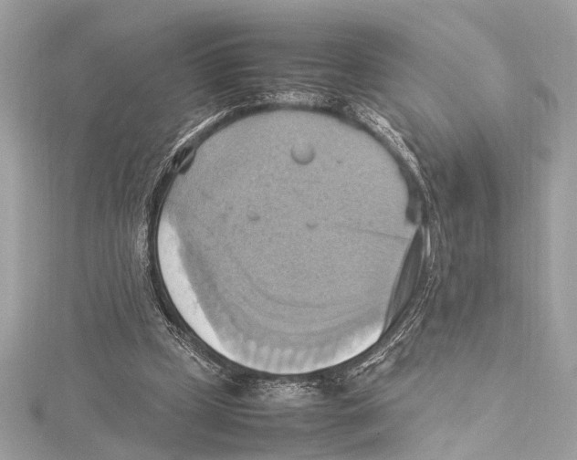 X0000115560249200912041059