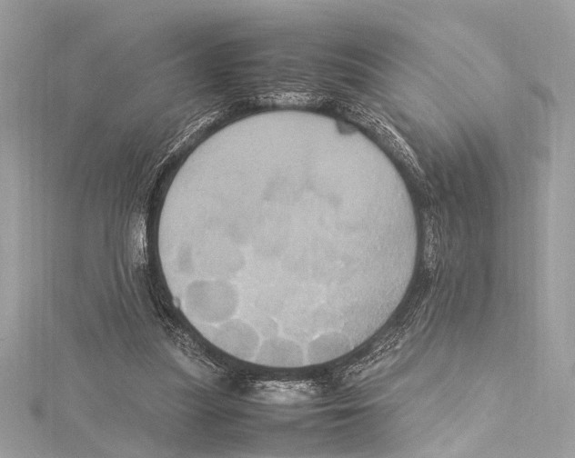 X0000115560251200912041059