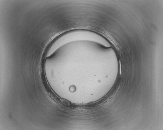 X0000115560252200912041059