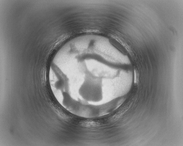 X0000115560253200912041059