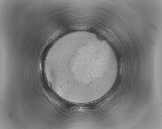 X0000115560254200912041059