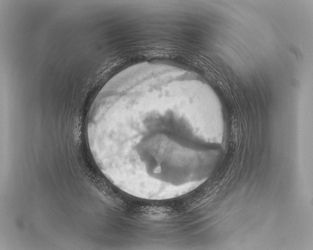 X0000115560255200912041059