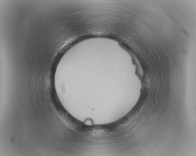 X0000115560256200912041059