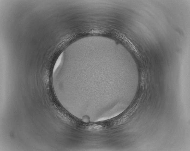 X0000115560257200912041059