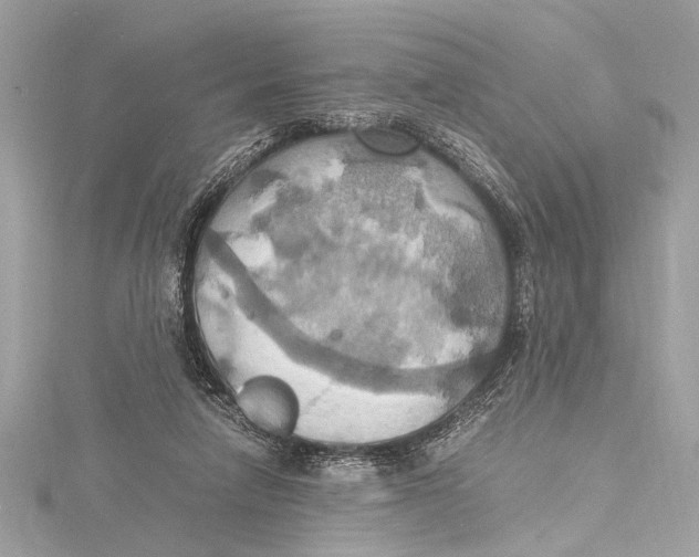 X0000115560258200912041059