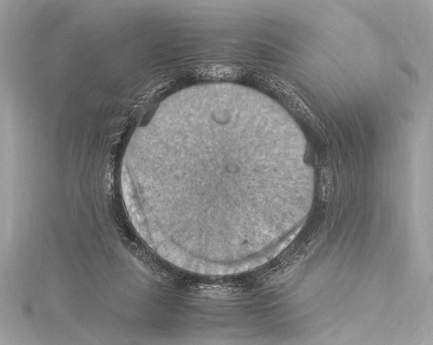 X0000115560259200912041059