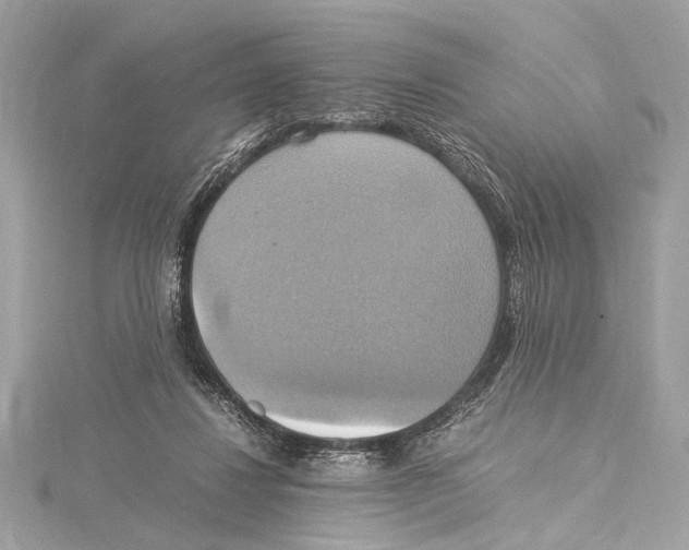 X0000115560260200912041059