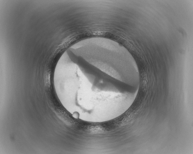 X0000115560262200912041059