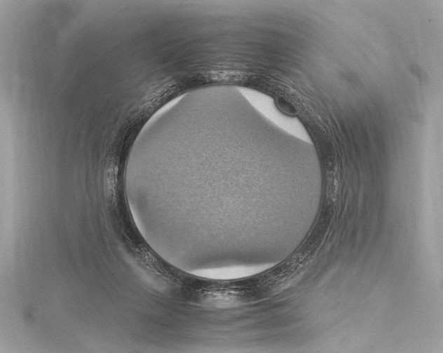 X0000115560263200912041059