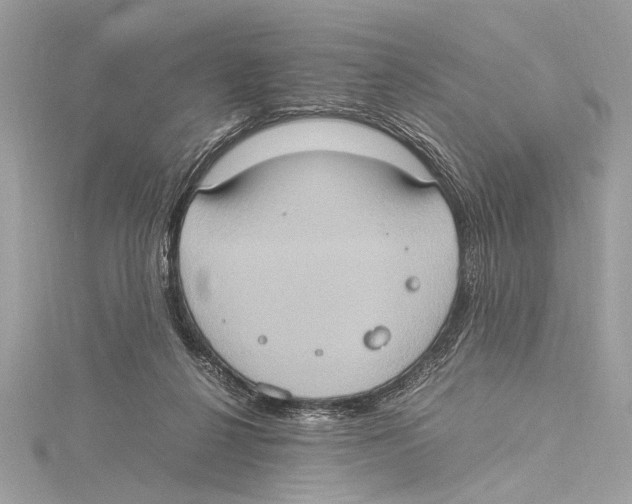 X0000115560264200912041059