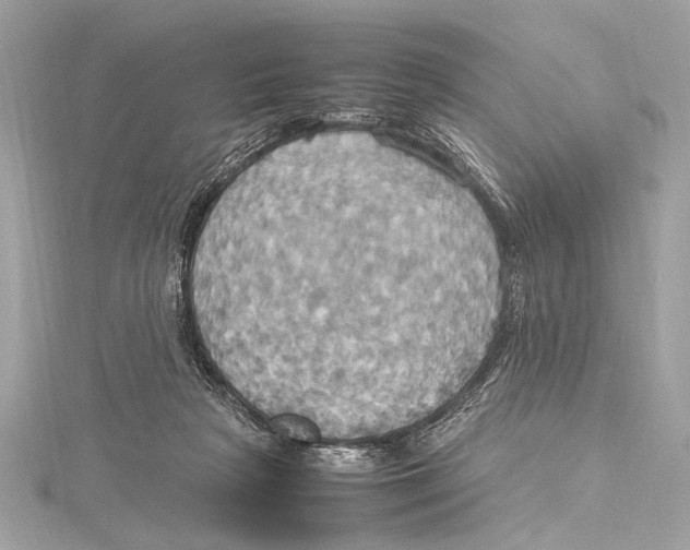 X0000115560265200912041059