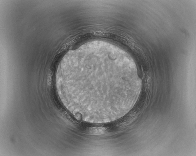 X0000115560266200912041059