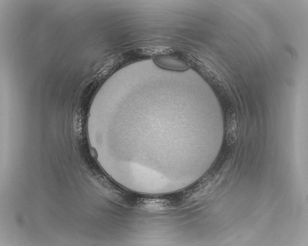 X0000115560268200912041059